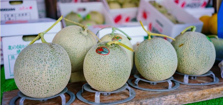 Porno studio dbm barcha filmlar