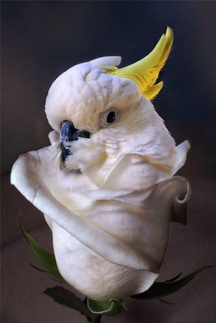 -mcyc9zmjyszr1pygk3b.jpg