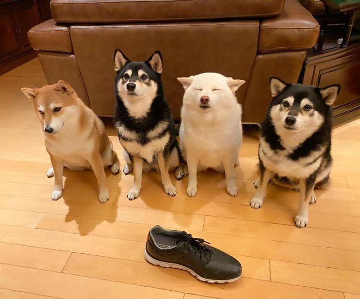 -mhldbejhrjiwnbq_oin.jpg