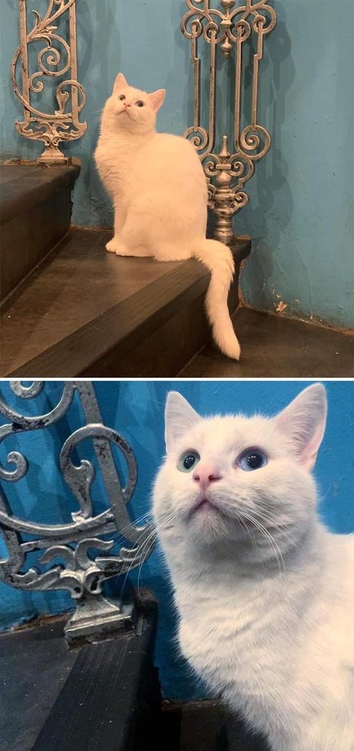 -miiwmzi_pyx7axzgjti.jpg