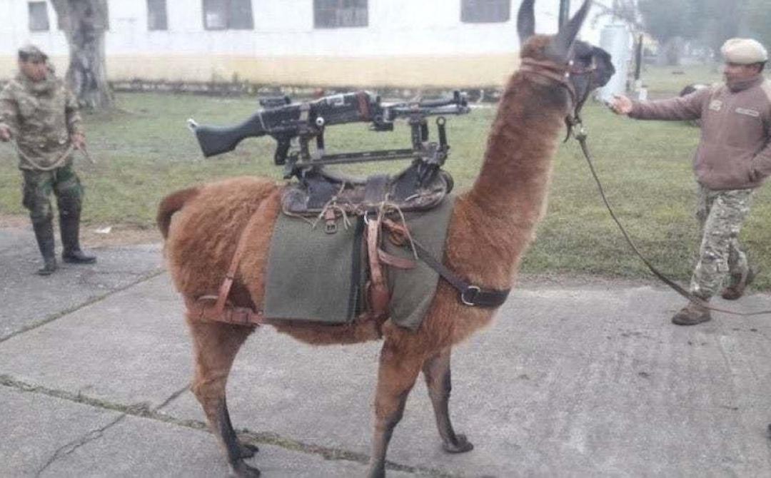 -mjgoqhidmxatefy0mba.jpg