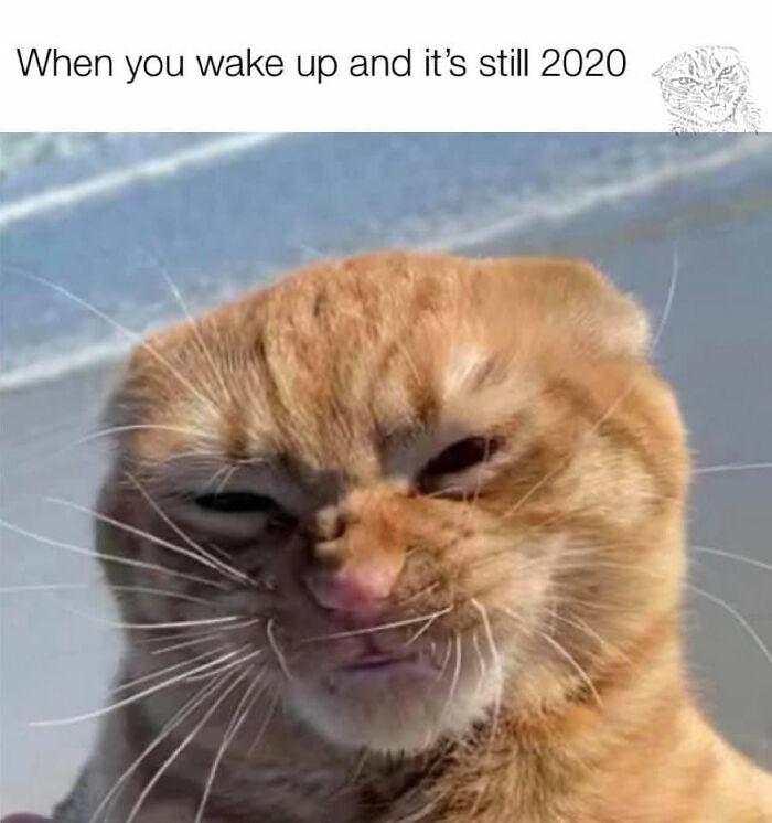 -mlrtghw18fv9ysh9kzn.jpg