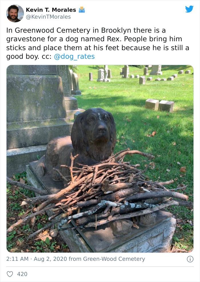 -mlwatdfqfqym84uufpf.jpg