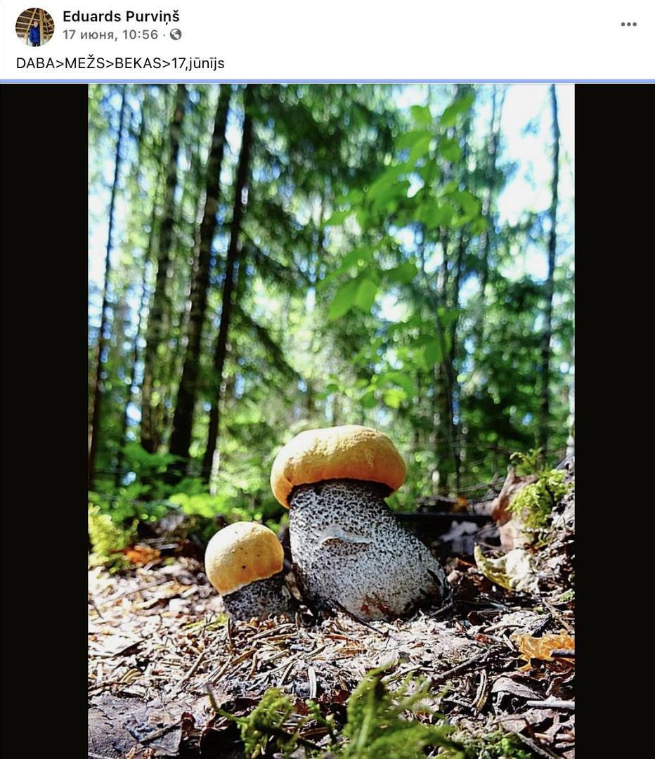 lzlv---ru_zknt/Fl0qP3gnR.png