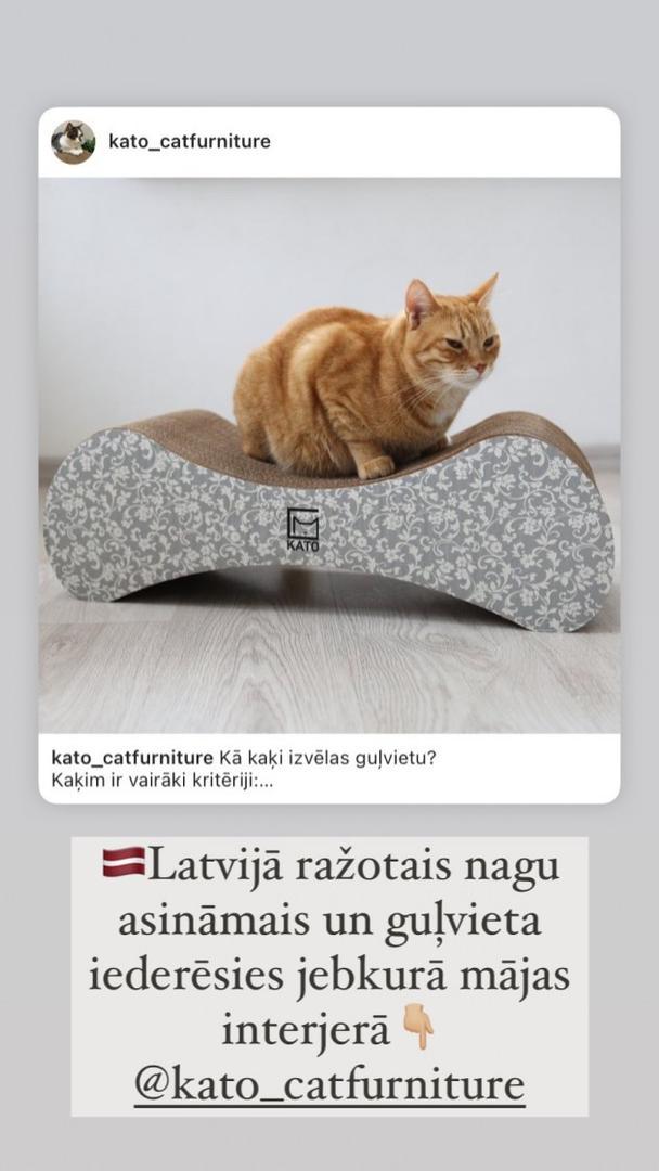 lzlv---ru_zknt/qWip-T17R.jpeg