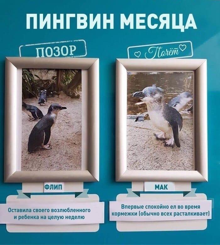 ogorodniki_ohpk/Nvw5fLTMR.jpeg
