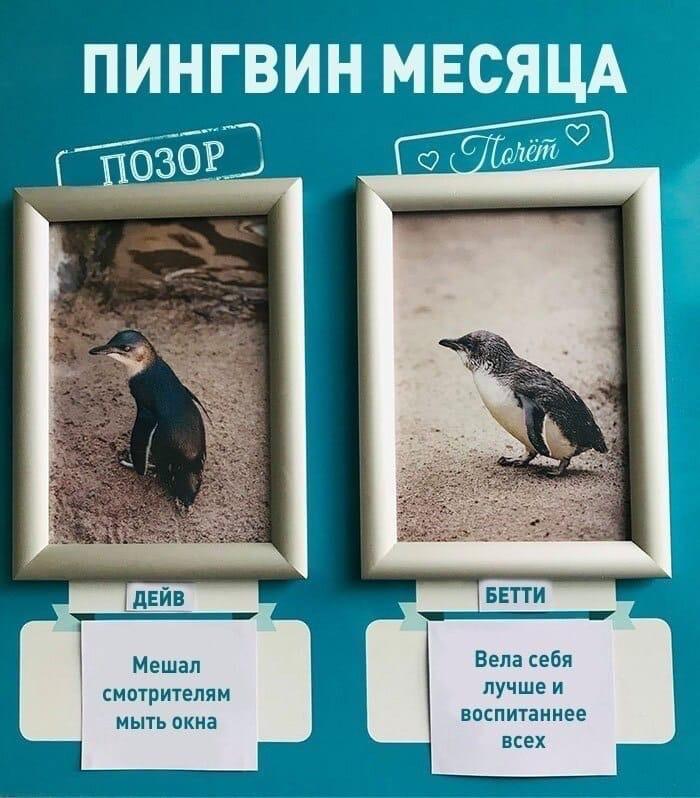 ogorodniki_ohpk/kN-tBLoMg.jpeg